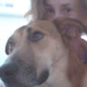 Meet your Posher, Dara